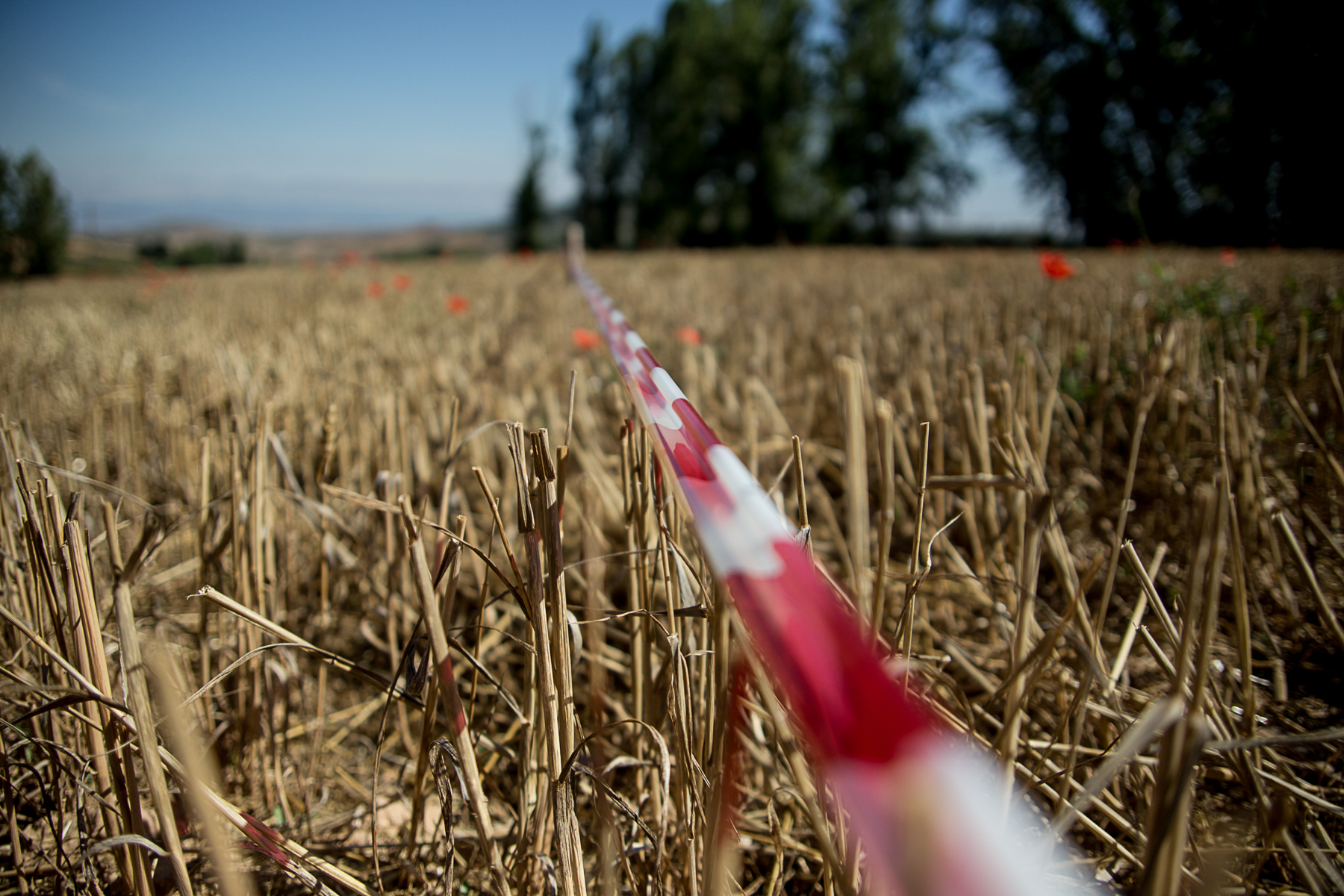 Una línea como inicio.